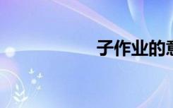子作业的意思是什么