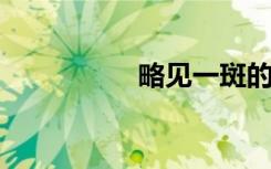 略见一斑的意思是什么