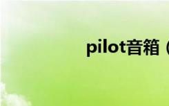 pilot音箱（pilotrun）