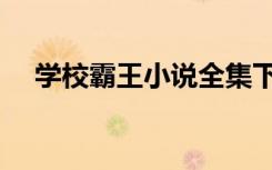 学校霸王小说全集下载（学校霸王小说）