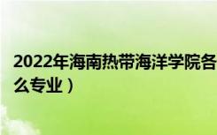 2022年海南热带海洋学院各省招生计划及招生人数（都招什么专业）