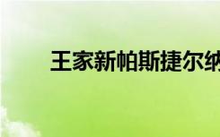王家新帕斯捷尔纳克（王家新简介）