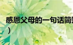 感恩父母的一句话简短（孝顺父母的经典句子）