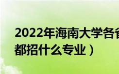 2022年海南大学各省招生计划及招生人数（都招什么专业）