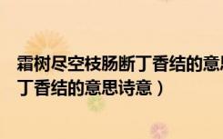 霜树尽空枝肠断丁香结的意思诗意少一点（霜树尽空枝肠断丁香结的意思诗意）