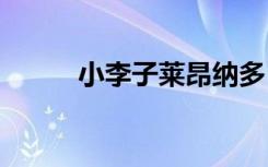 小李子莱昂纳多（小李子29 7g）