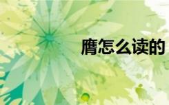 膺怎么读的（膺怎么读）