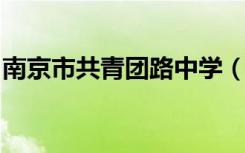南京市共青团路中学（南京共中）的地址在哪