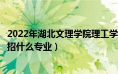 2022年湖北文理学院理工学院招生计划及招生人数（各省都招什么专业）