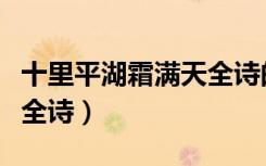 十里平湖霜满天全诗的意思（十里平湖霜满天全诗）