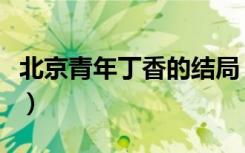 北京青年丁香的结局（北京青年丁香的扮演者）