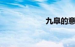 九臯的意思是什么