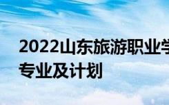 2022山东旅游职业学院单招和综合评价招生专业及计划