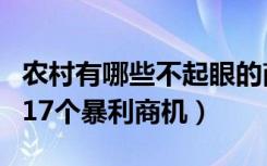 农村有哪些不起眼的商机（藏在农村不起眼的17个暴利商机）