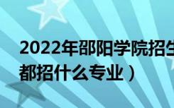2022年邵阳学院招生计划及招生人数（各省都招什么专业）