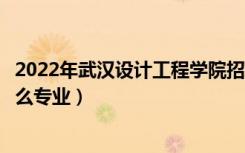 2022年武汉设计工程学院招生计划及招生人数（各省都招什么专业）