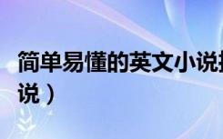 简单易懂的英文小说推荐（简单易懂的英文小说）
