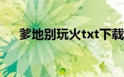 爹地别玩火txt下载（爹地别玩我妈咪）