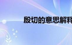 殷切的意思解释（殷切的意思）