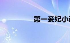 第一妾妃小说（第一妾）