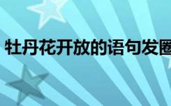 牡丹花开放的语句发圈（牡丹花开放的语句）