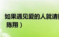 如果遇见爱的人就请抓住她的手（如果遇见你 陈翔）