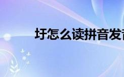 圩怎么读拼音发音（圩怎么读音）