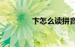 卞怎么读拼音（卞怎么读）