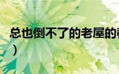 总也倒不了的老屋的教案（总也倒不了的老屋）