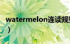 watermelon连读规则（watermelon可数吗）