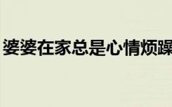 婆婆在家总是心情烦躁（pp装机助手电脑版）