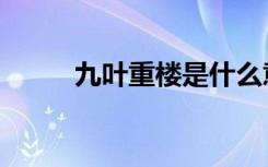 九叶重楼是什么意思（九叶重楼）