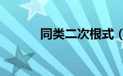 同类二次根式（同类二次根式）
