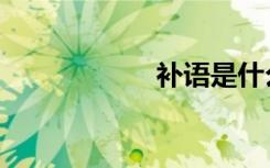 补语是什么（补语）