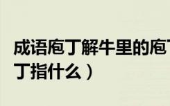 成语庖丁解牛里的庖丁指的是（庖丁解牛的庖丁指什么）