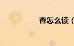 杳怎么读（杳怎么读）