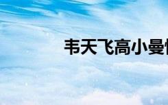 韦天飞高小曼怀孕（韦天飞）