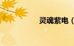 灵魂紫电（灵魂紫电）