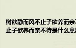 树欲静而风不止子欲养而亲不待是什么意思（树欲静而风不止子欲养而亲不待是什么意思）