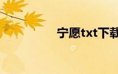 宁愿txt下载（宁愿txt）
