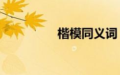 楷模同义词（楷模装饰）