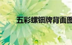 五彩螺钿牌背面图案（五彩螺钿牌）