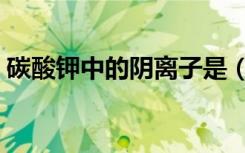 碳酸钾中的阴离子是（碳酸钾中的阴离子是）