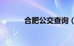 合肥公交查询（合肥公交查询）