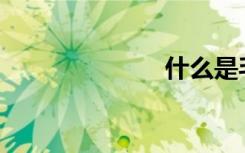 什么是毛毛虫？