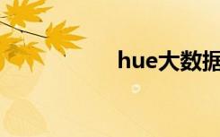 hue大数据（huedy）