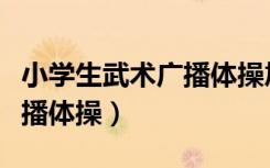 小学生武术广播体操旭日东升（小学生武术广播体操）