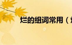 烂的组词常用（烂的组词和拼音）