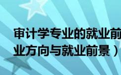 审计学专业的就业前景（2022审计学专业就业方向与就业前景）