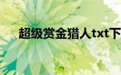 超级赏金猎人txt下载（超级赏金猎人）